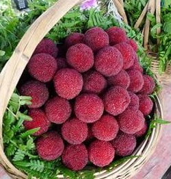 每日吃瓜黑料揭秘娱乐圈风云人物与甜蜜故事