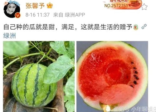 娱乐圈的面纱：从恋情曝光到丑闻风波，明星背后的真实人生