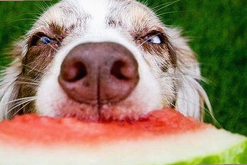 娱乐圈最新吃瓜动态盘点与趣味观察