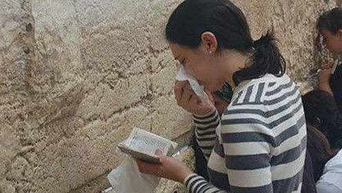 张翰依旧活跃娱乐圈，揭秘明星日常与吃瓜真相