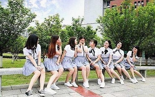 娱乐圈绯闻、明星减肥大战与金鸣技能爆料全解析