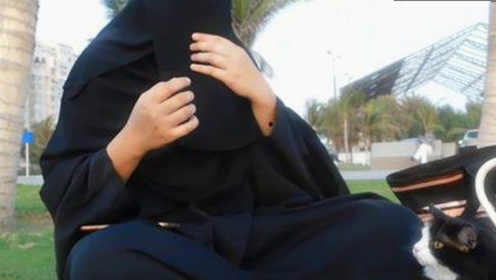 新版《西游记》演员阵容星光闪耀,剧情改编让人又爱又吐槽✨