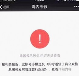 女星神秘女友曝光，甜蜜恋情引热议背后的故事